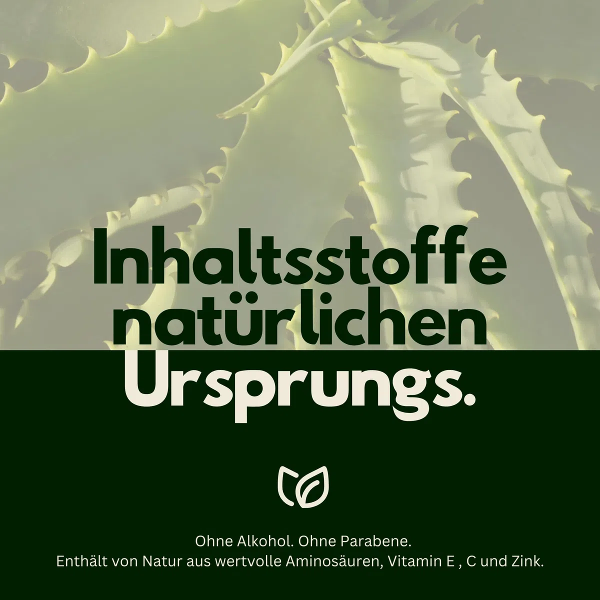 Hairfluencer - Bio Aloe Vera Gel aus Blattsaft - 250ml natürliches Aloe Vera Gel ohne Parabene & Alkohol - Aloe Vera zur Pflege von Haut und Haaren - feuchtigkeitsspendendes Gel
