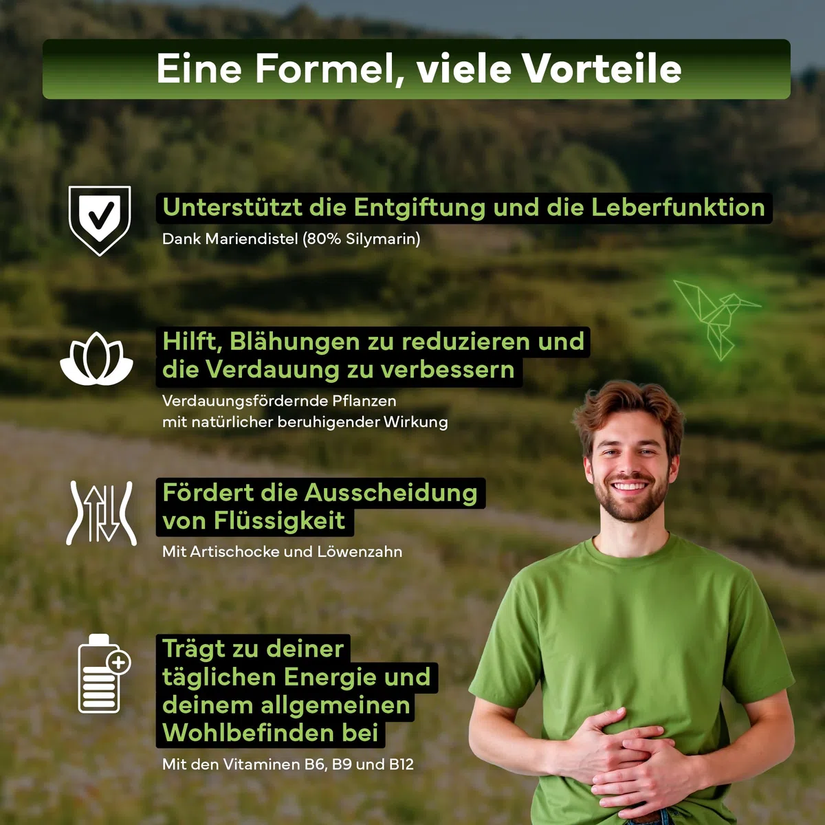 Mariendistel, Artischocke & Löwenzahn Komplex mit Cholin – 120 Hochdosiert Kapseln – Nahrungsergänzungsmittel ohne Gentechnik, Glutenfrei & Laktosefrei – Hergestellt in der EU – Sevens