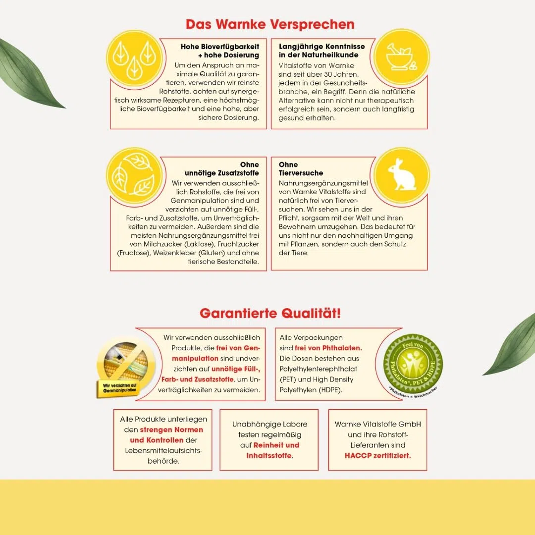 Leinöl 1000mg - 300 Softgels - 1000mg pro Softgel - kaltgepresst - Omega 369 + Vitamin E - Alpha Linolsäure - HOCHDOSIERT - Deutsche Apothekenqualität | Warnke Vitalstoffe