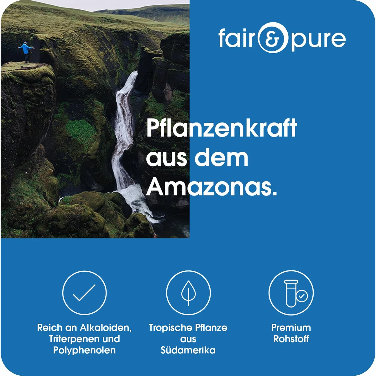 Fair & Pure Katzenkralle 1000mg pro Tagesdosis, 120 Kapseln, Cats Claw, Una De Gato, Nahrungsergänzungsmittel vegan ohne Magnesiumstearat, in Deutschland hergestellt