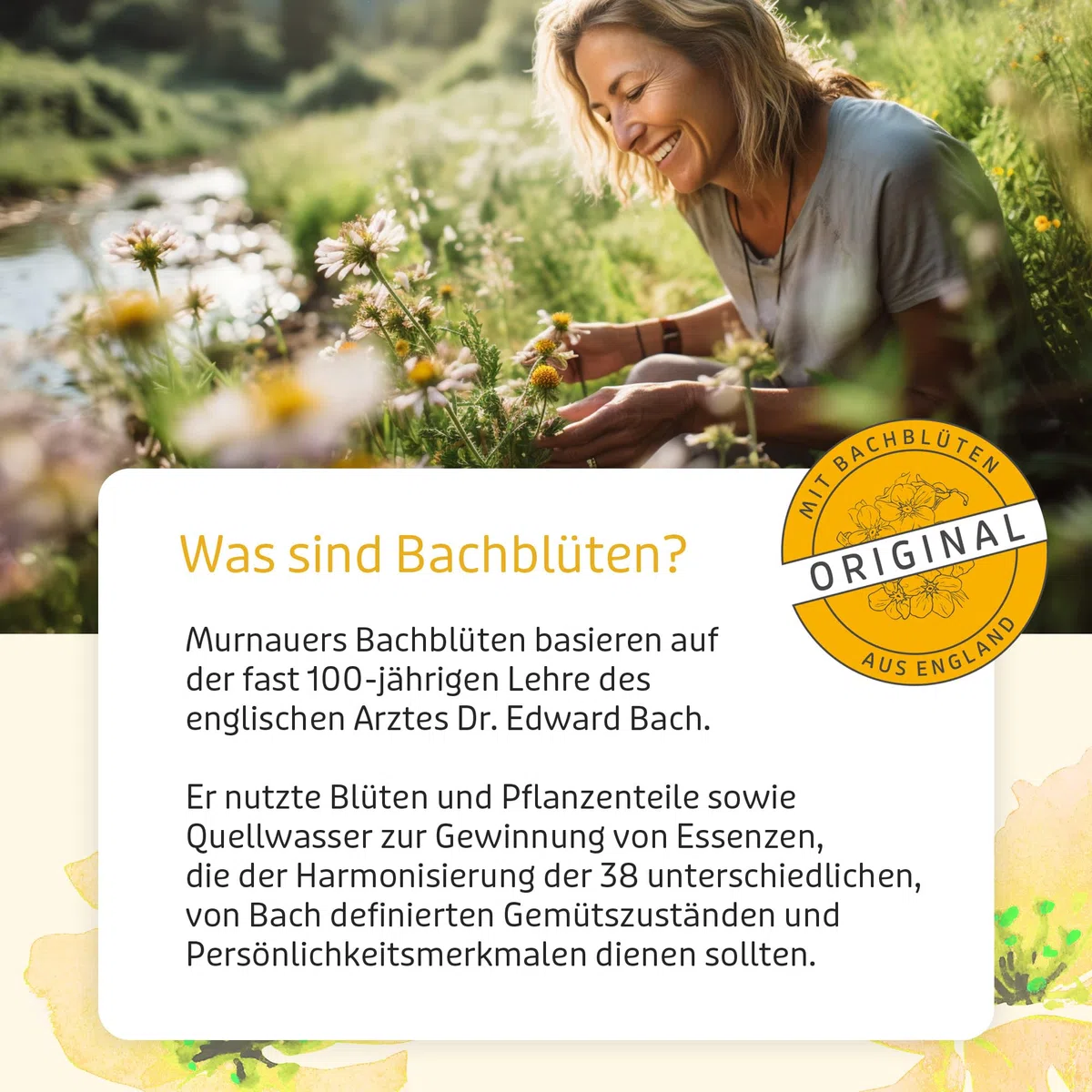 Murnauers Bachblüten Original Tropfen | 20 ml | Alltag in Balance | Hergestellt mit Original Bachblüten nach Edward Bach aus England