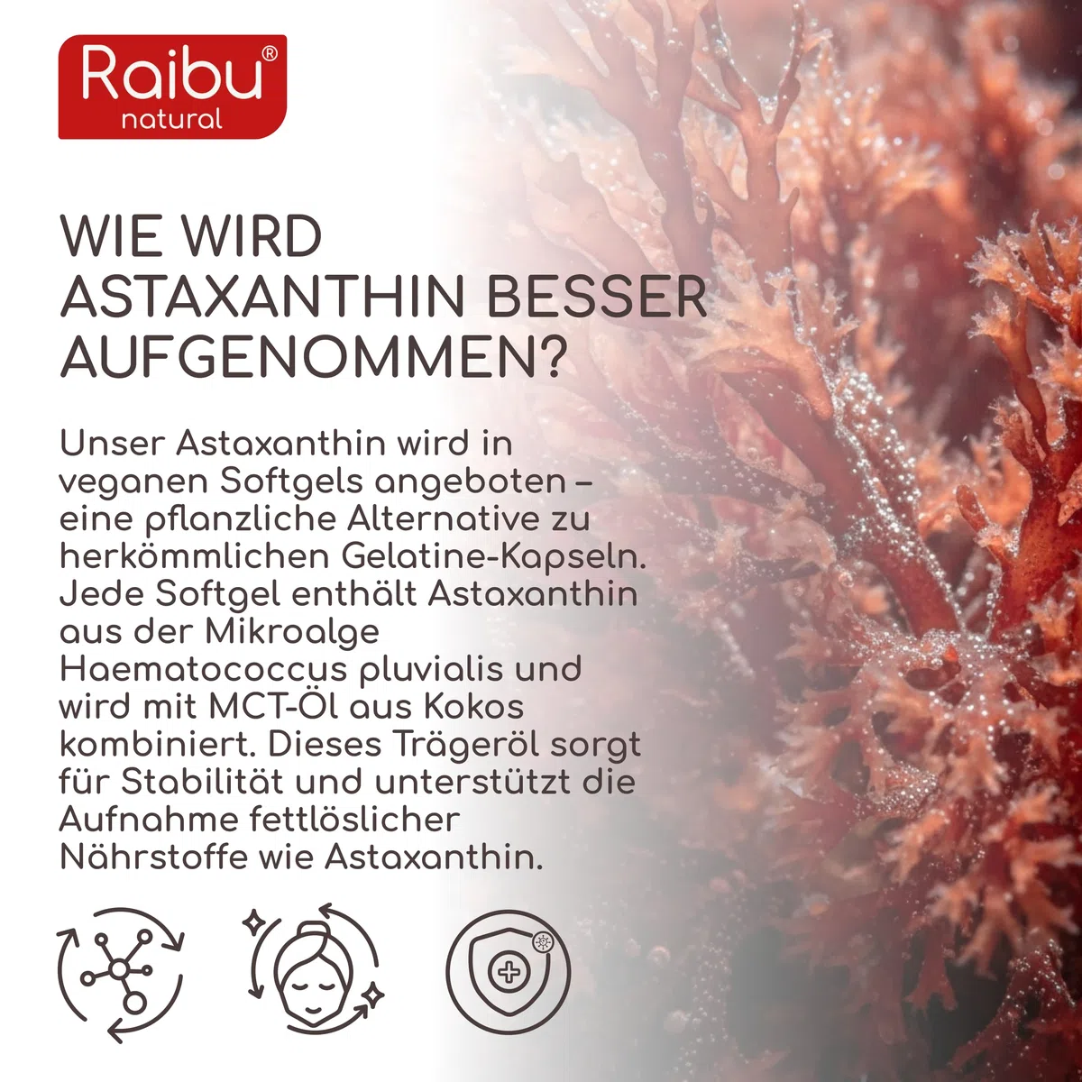 Astaxanthin Hochdosiert - 180 Vegane Astaxanthin Kapseln (Softgels): 6 Monate Vorrat - 8 mg pro Softgel - Premium-Rohstoff aus Haematococcus pluvialis Algenextrakt - Ohne Zusatzstoffe