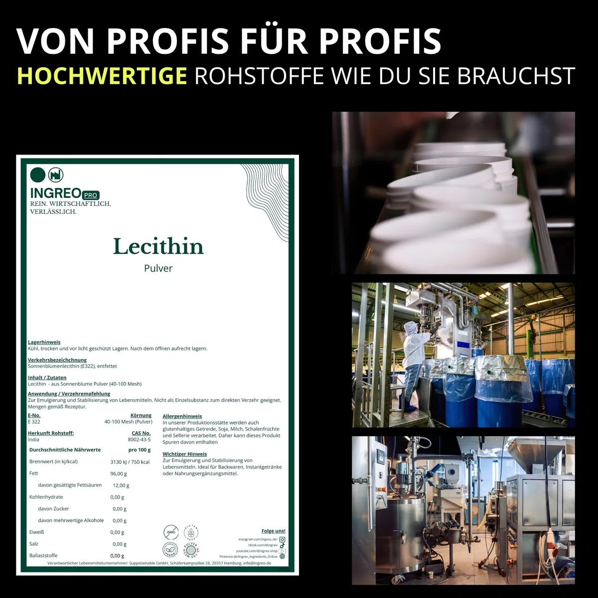 500 g | Sonnenblumen Lecithin Pulver E322 | Emulgator Stabilisator | 40–100 Mesh | 100% rein vegan non GMO | Lebensmittelqualität | für Getränke Backwaren Supplemente | Rohstoff | INGREO