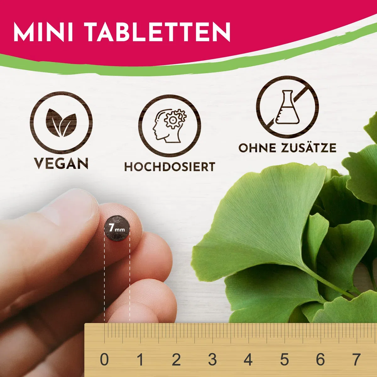 Ginkgo Biloba 6000mg pro Tablette, 365 Stück - Preis-Leistungs-Sieger + B-Vitamin Power Komplex, ohne Zusätze, Laborgeprüft, made in Austria, Vitamin B12 trägt zur Verringerung von Müdigkeit bei