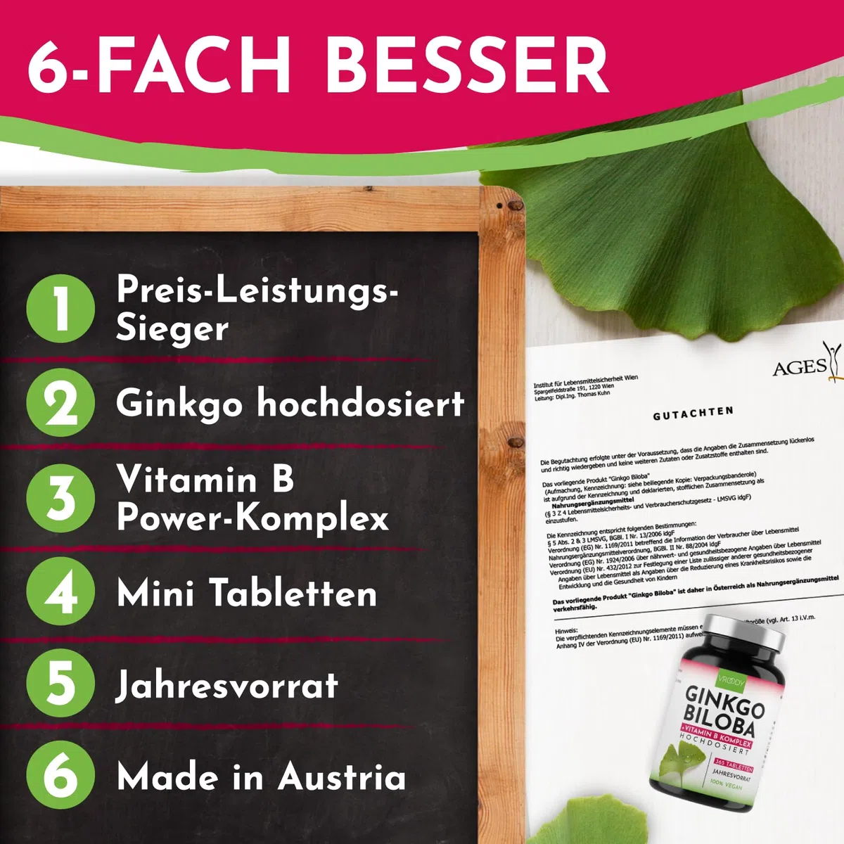 Ginkgo Biloba 6000mg pro Tablette, 365 Stück - Preis-Leistungs-Sieger + B-Vitamin Power Komplex, ohne Zusätze, Laborgeprüft, made in Austria, Vitamin B12 trägt zur Verringerung von Müdigkeit bei