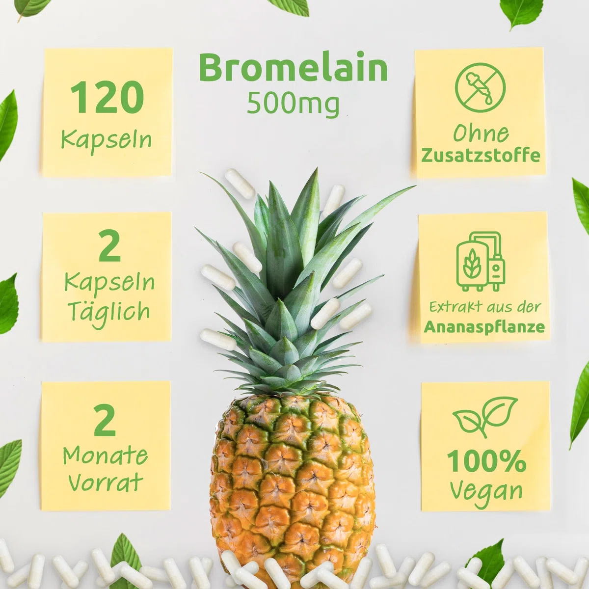 Bromelain 500 mg (2.000 F.I.P.) 120 Kapseln - Vegan ohne Füll- und Zusatzstoffe - 2000 GDU/g = 4000 F.I.P./g - Bio Protect - Ananas Enzym OHNE ZUSATZSTOFFE!