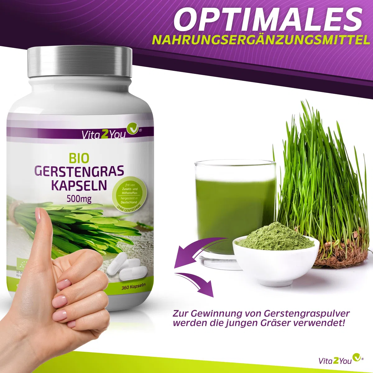 Vita2You Bio Gerstengras Kapseln - 360 Kapseln - 3000mg Tagesdosis - 500mg pro Kapsel - Gerstengras aus deutschem Anbau - Ohne Zusätze - Hochdosiert - ökologischer Anbau - Premium Qualität