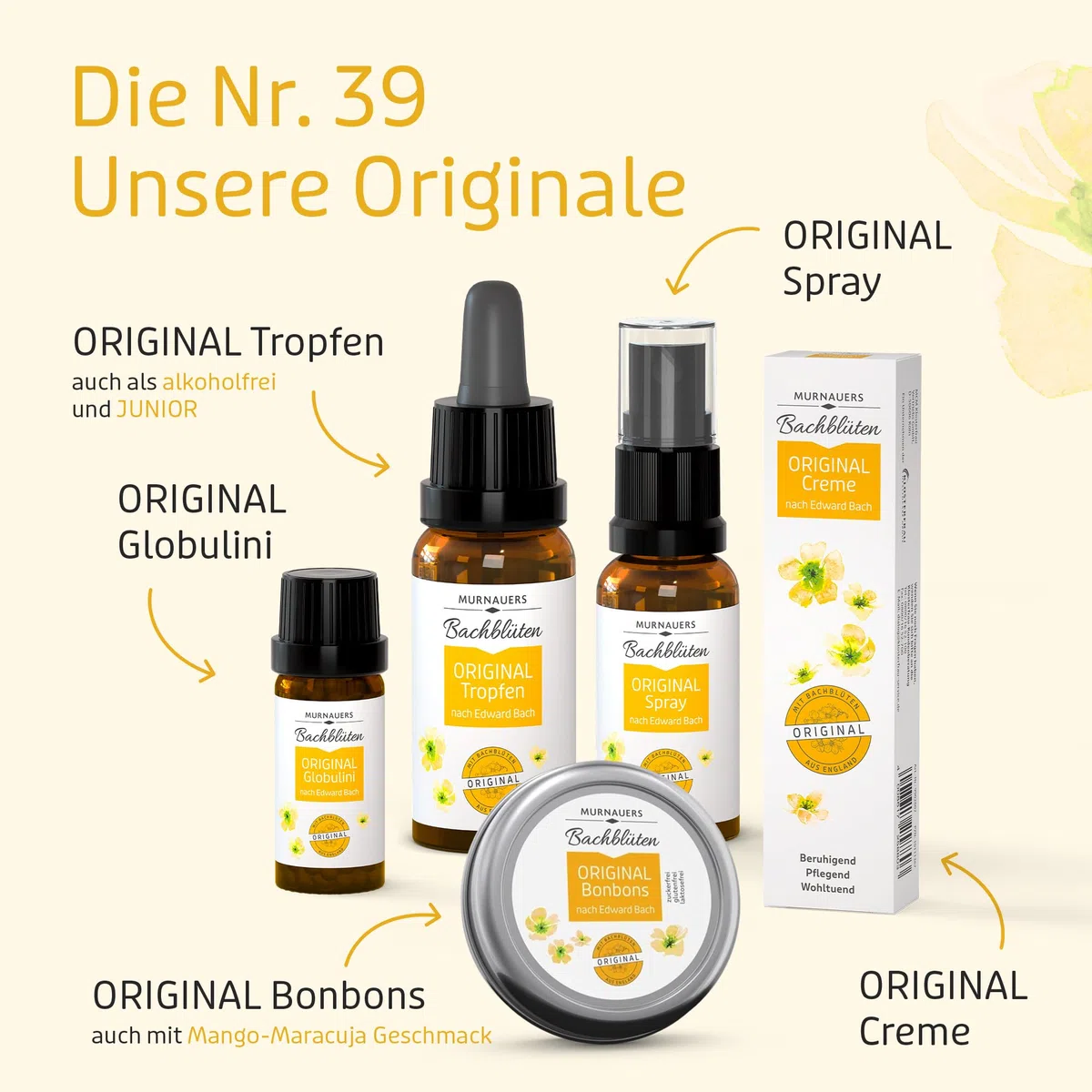 Murnauers Bachblüten Original Tropfen | 20 ml | Alltag in Balance | Hergestellt mit Original Bachblüten nach Edward Bach aus England