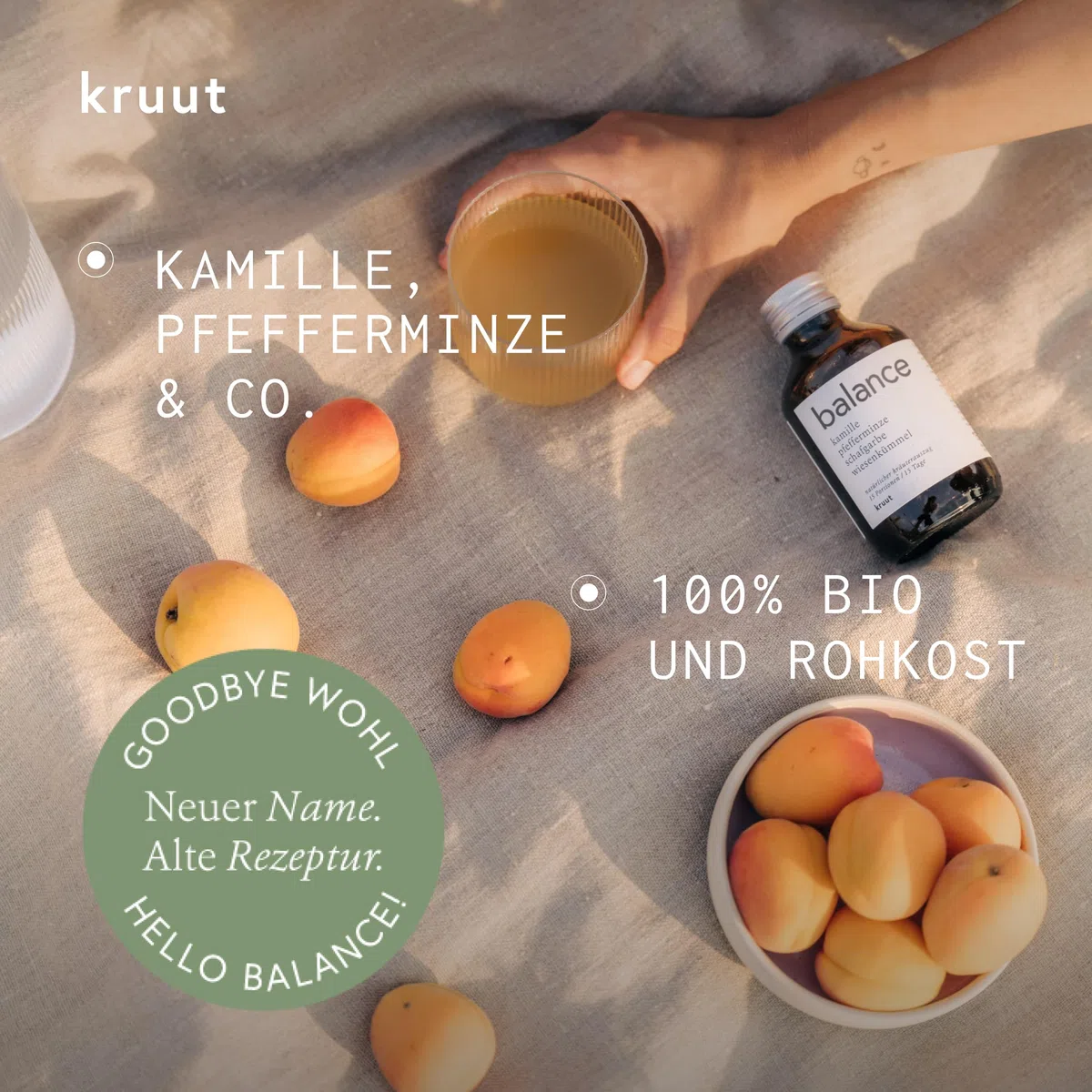Kruut – Balance Kräuterauszug bio 500ml – Elixier für nach dem Essen aus Wildkräutern Kamille, Schafgarbe, Pfefferminze, Wiesenkümmel – Oxymel Extrakt Sirup Kur