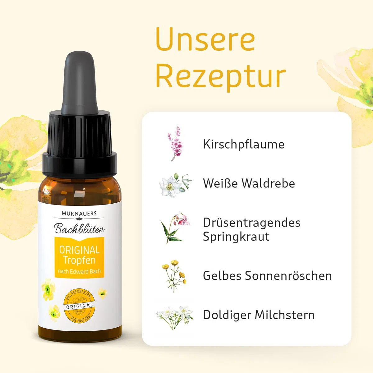 Murnauers Bachblüten Original Tropfen | 20 ml | Alltag in Balance | Hergestellt mit Original Bachblüten nach Edward Bach aus England